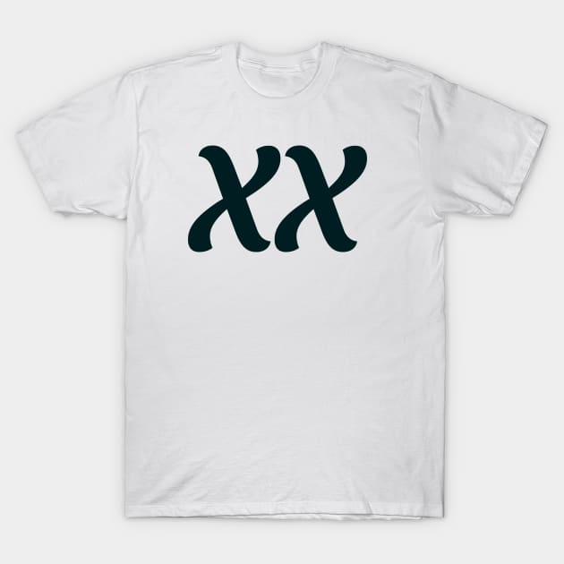 xx T-Shirt by calebfaires
